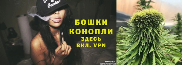 соль курить ск Дмитров