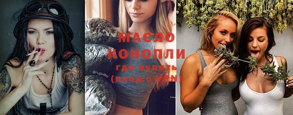стаф Гусь-Хрустальный