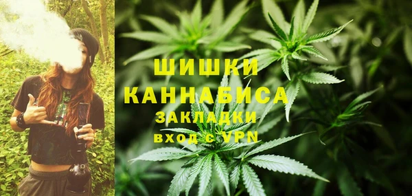 соль курить ск Дмитров
