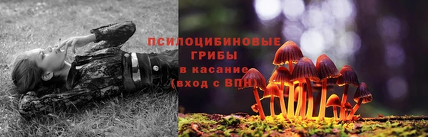 ешки Дмитровск