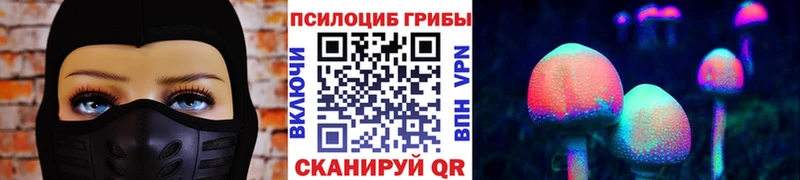 Купить закладки Сим Галлюциногенные грибы Psilocybine cubensis