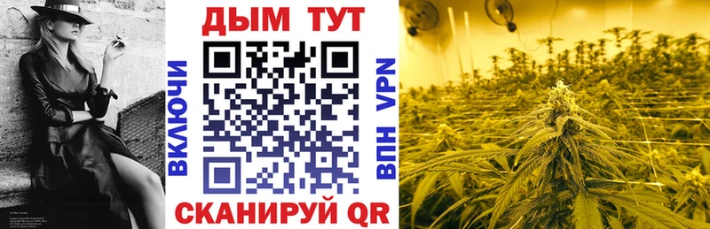 Бошки Шишки гибрид  Купить где  Сим 
